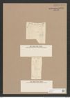 Libellus rhombicus (Greg.) De-Toni (de-Toni-Nr.: Genus 5, Species 857) Zeichnungen Sammlung Grunow Nr. 1701 (NHMW-BOT-W0368574)